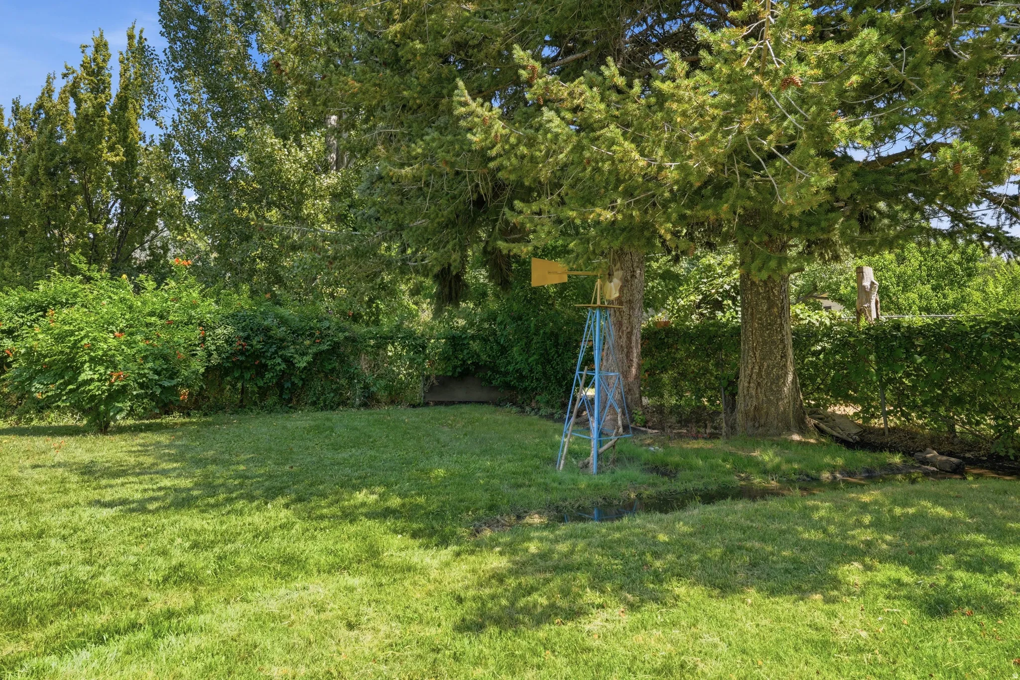 Expansive green lawn framed by mature trees and varied shrubbery