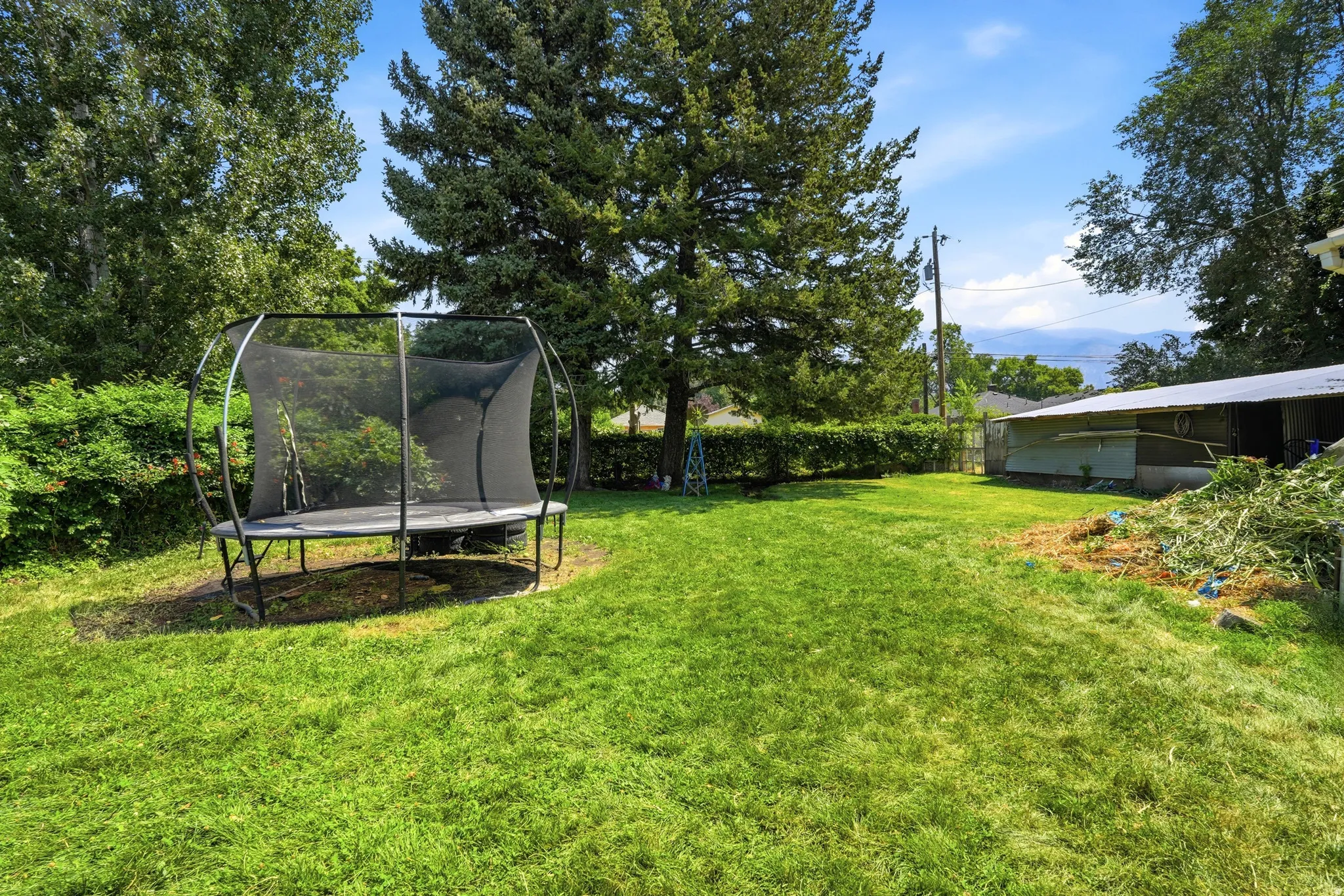 Spacious backyard with mature perimeter trees, a lush green lawn, and a distant mountain backdrop