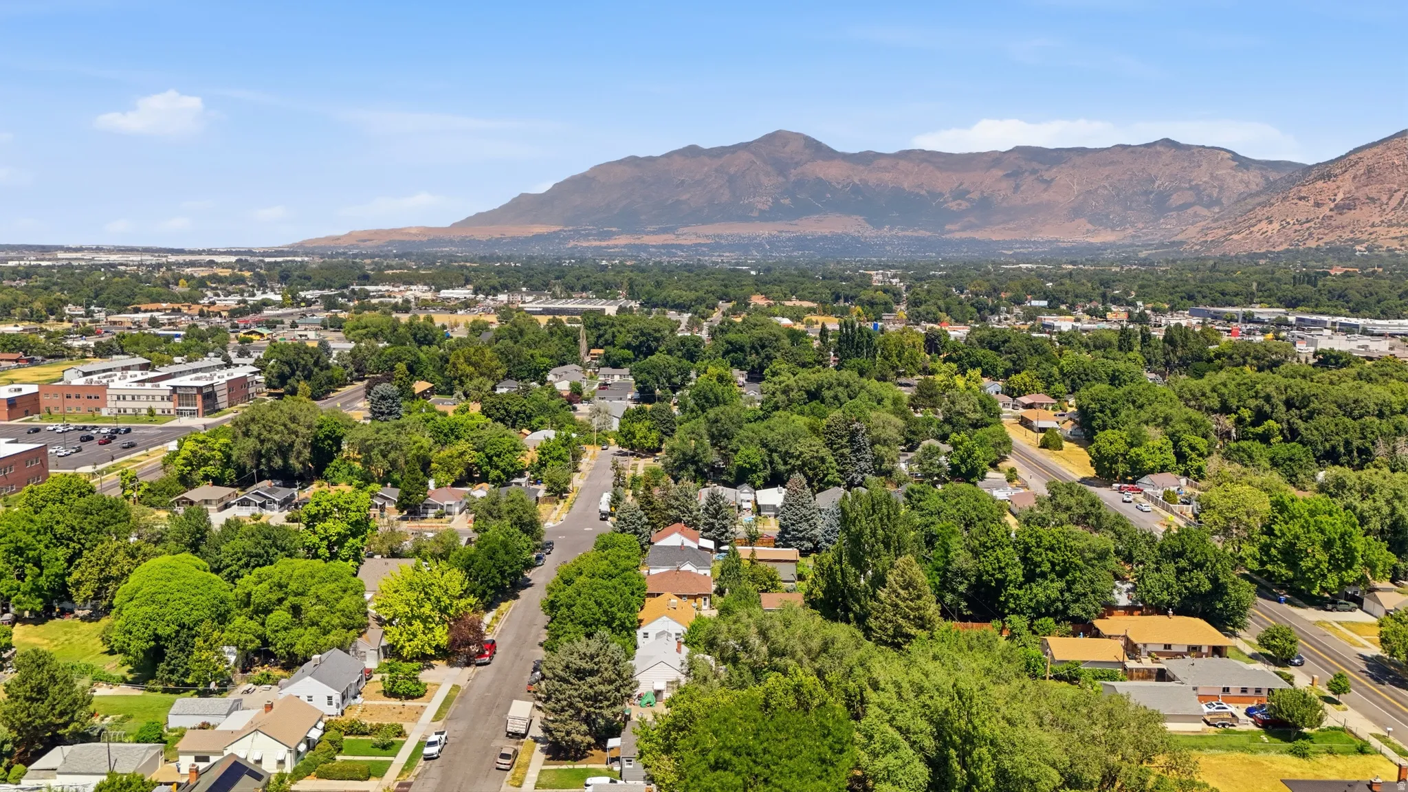 Expansive aerial showcasing a residential neighborhood with mature trees
