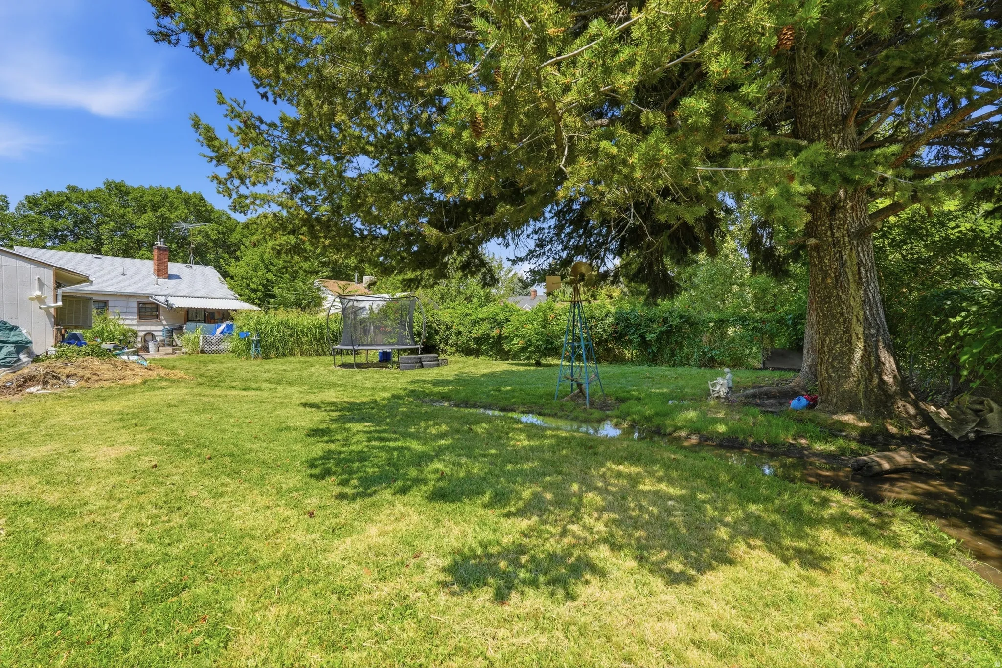 Expansive backyard featuring a large mature tree providing natural shade, a manicured lawn, and lush perimeter foliage
