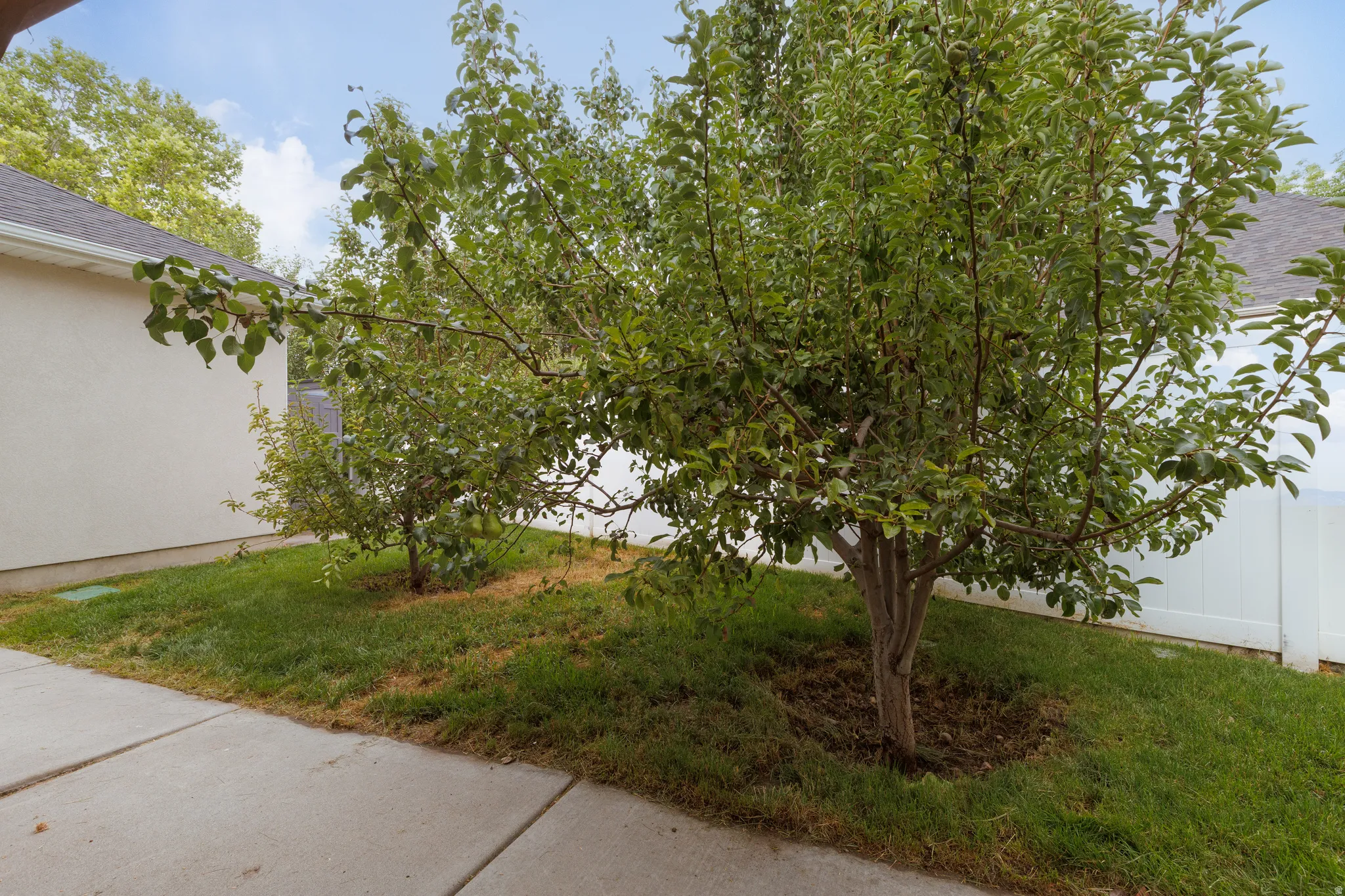 Landscaped side yard featuring mature trees, a white vinyl fence, and a concrete pathway