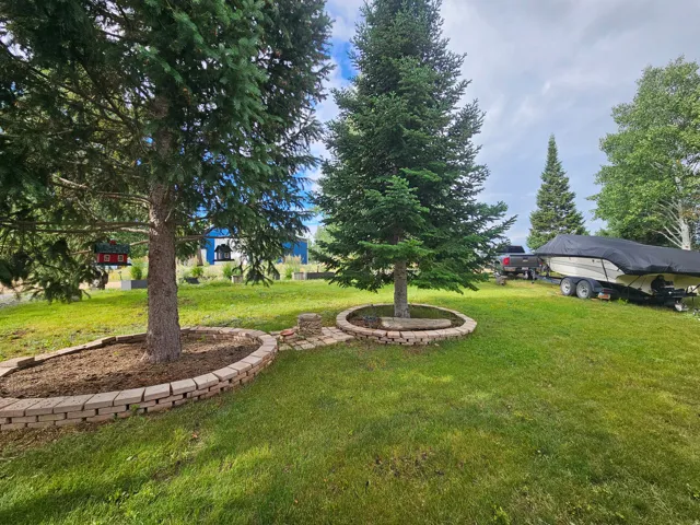 Beautiful landscaped yard with tons of trees!