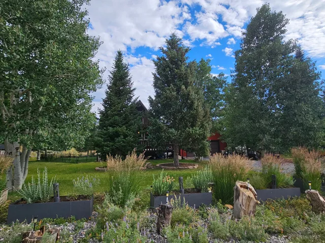 Beautiful landscaped yard with tons of trees!