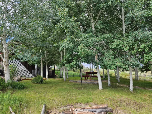 Beautiful Tall Quaken-aspens with nice sitting area & firepit!
