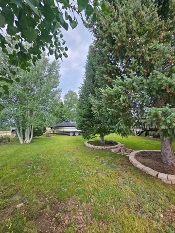 Beautiful landscaped yard with tons of trees!