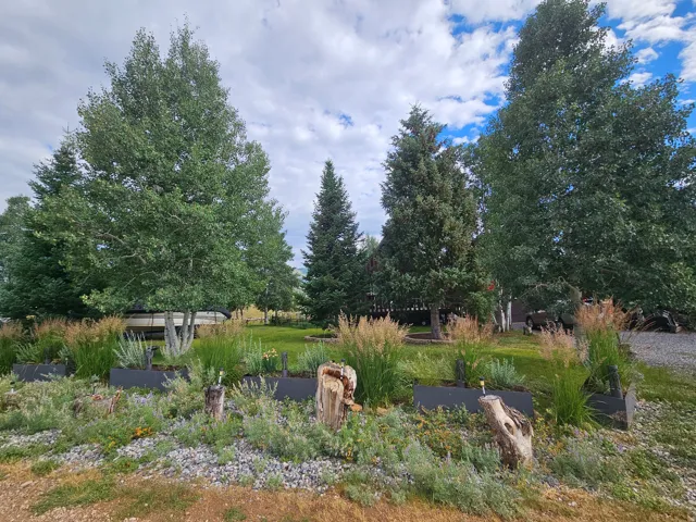 Beautiful landscaped yard with tons of trees!