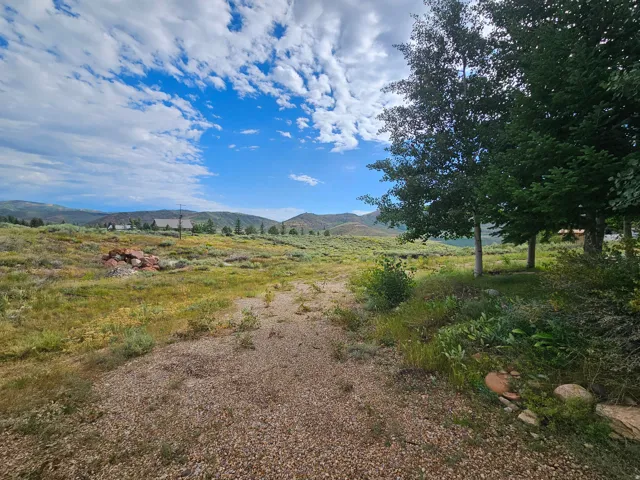 Beautiful landscaped yard with tons of trees - leading to back!