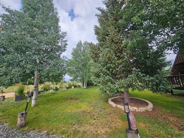 Beautiful landscaped yard with tons of trees!
