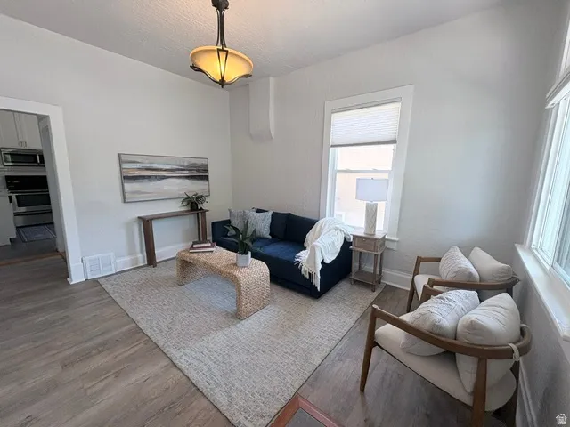 Living area featuring wood-finish flooring, a contemporary ceiling fixture, and bright window