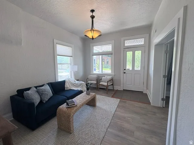Entryway featuring a decorative transom window above a panel door, wood-finish flooring, and a classic pendant light fixture