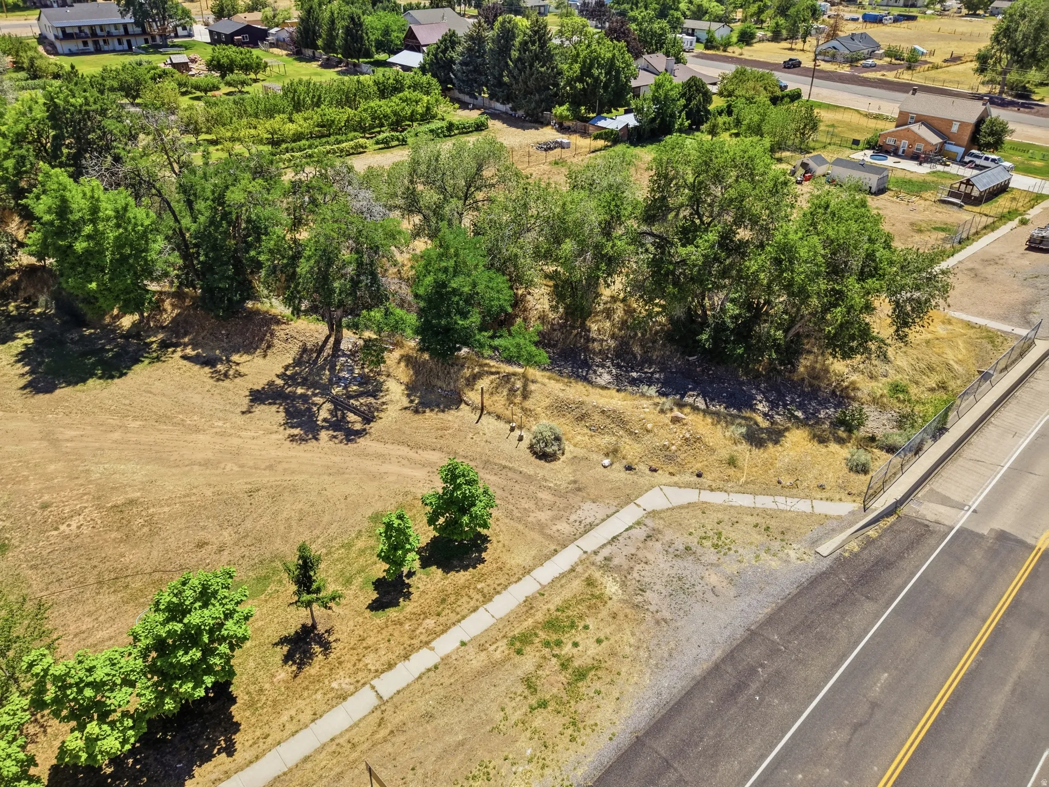 Expansive lot featuring mature trees, a concrete sidewalk, and direct road frontage
