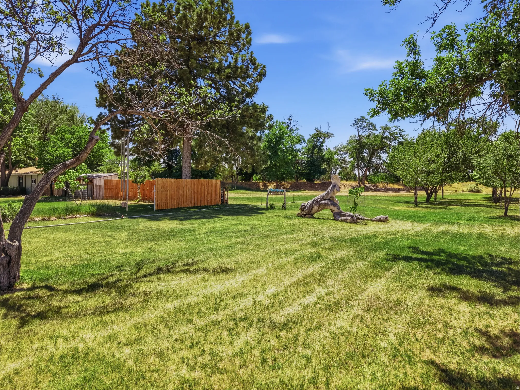 Expansive green lawn with mature trees and a clear blue sky