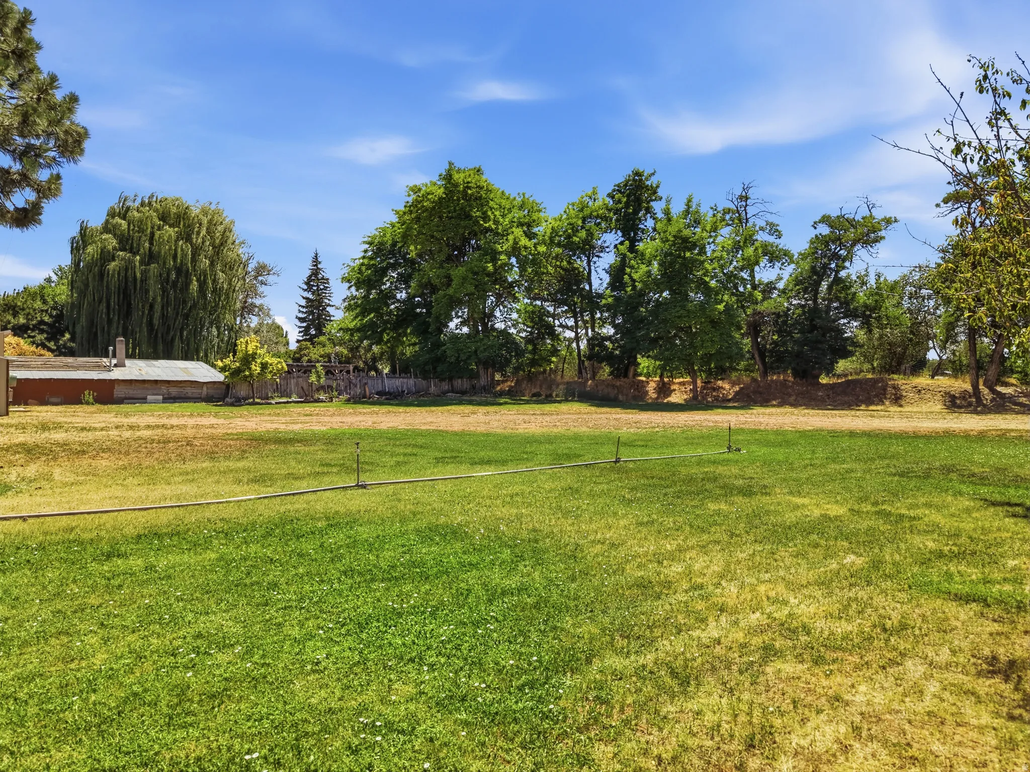 Expansive green space featuring a partially manicured lawn with mature trees bordering the property