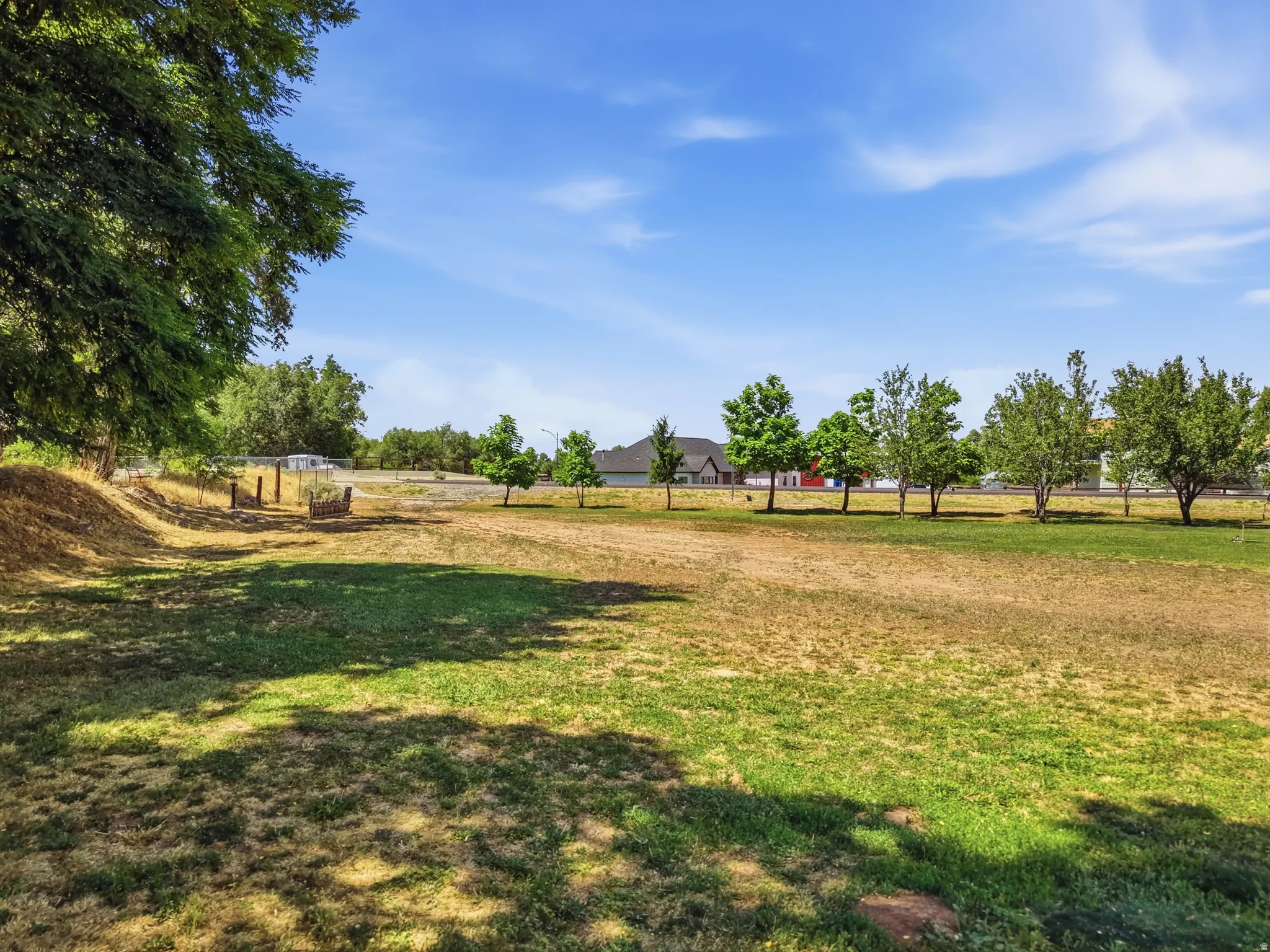 Expansive outdoor space featuring a combination of natural ground cover and a line of mature trees