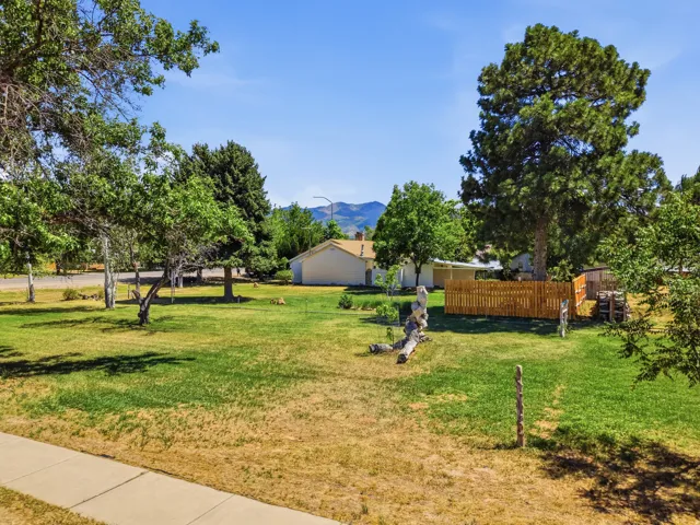Expansive front lawn with mature trees and a concrete sidewalk