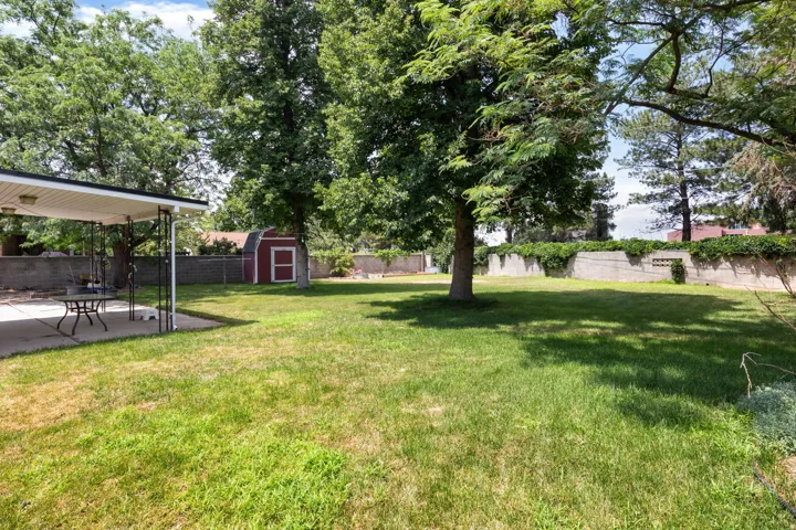 Expansive green lawn with mature trees and a concrete retaining wall