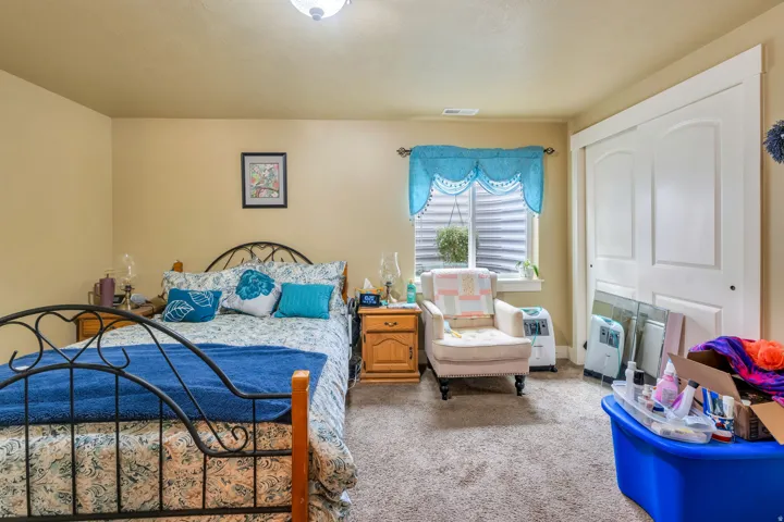 Carpeted room featuring a window with horizontal blinds, a ceiling-mounted light fixture, and a white sliding closet door