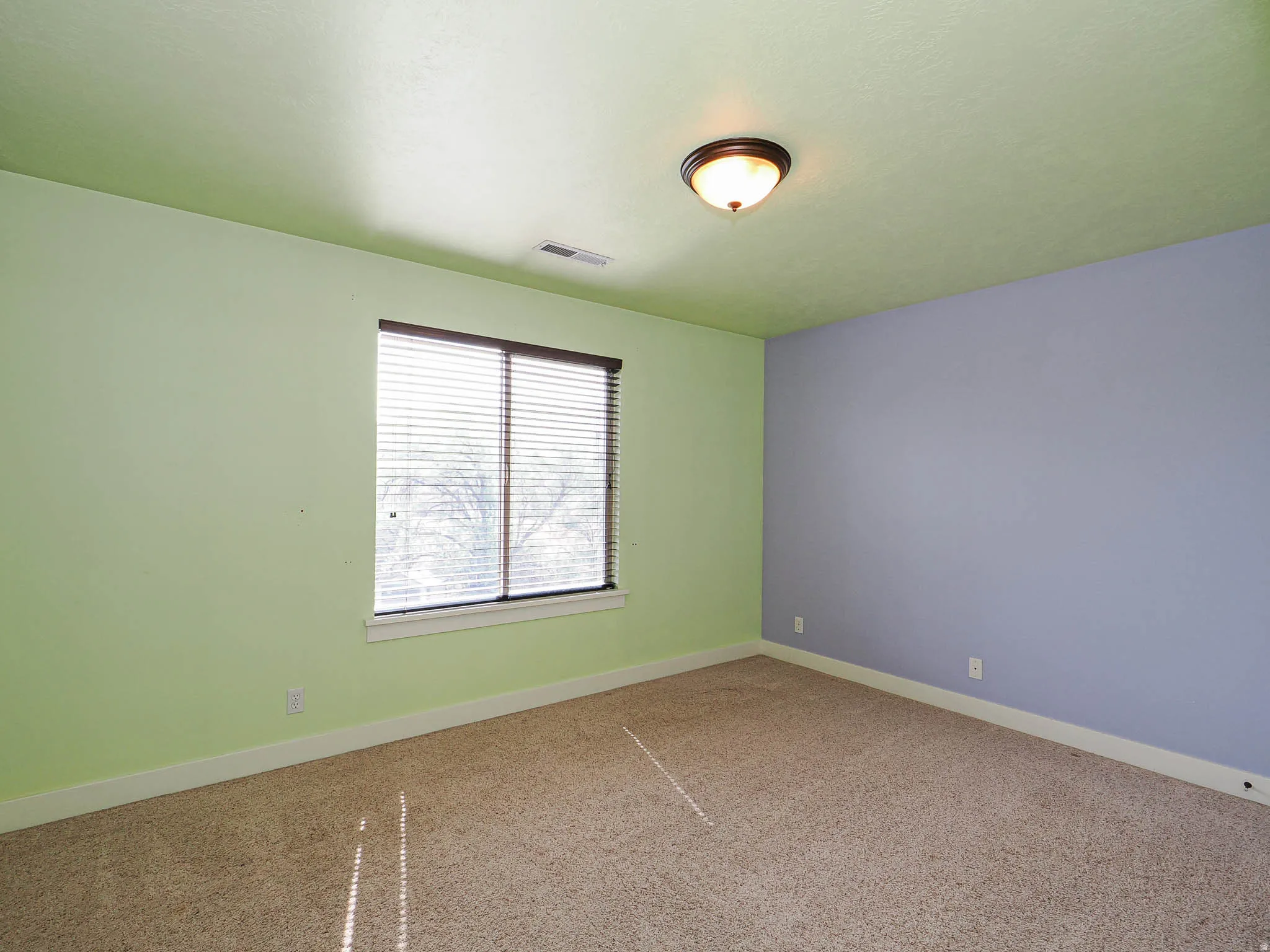 Carpeted room featuring a single window with blinds, a ceiling-mounted light fixture, and contrasting wall colors