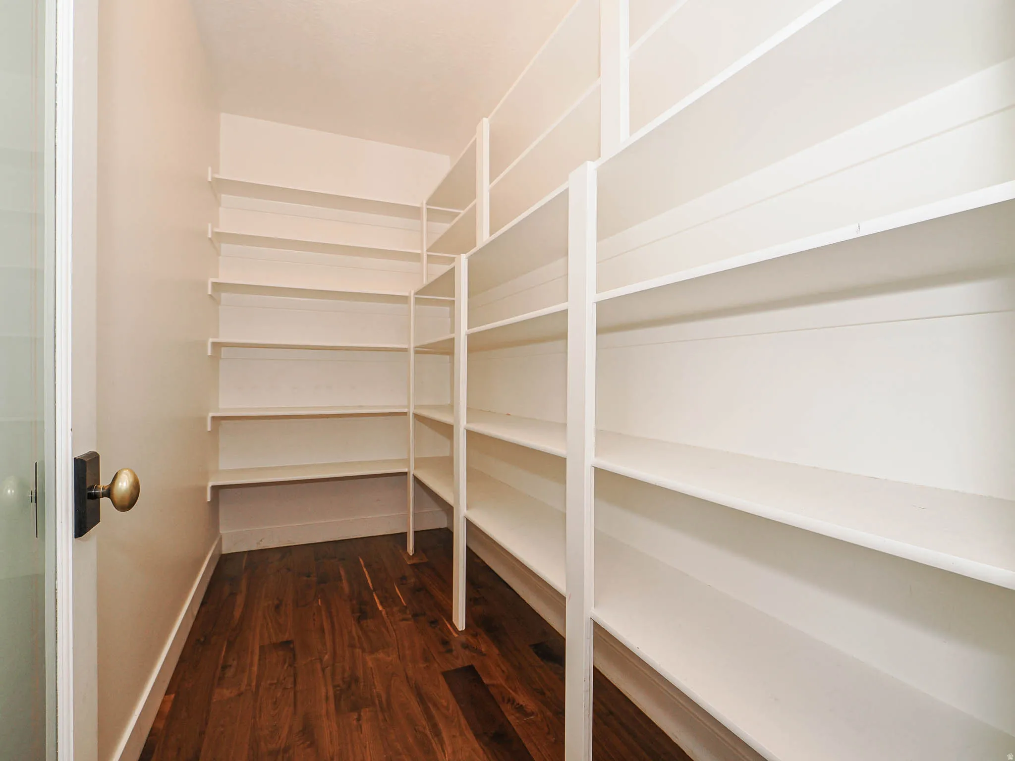 Spacious pantry featuring extensive built-in shelving, rich wood-finish flooring, and light-toned walls