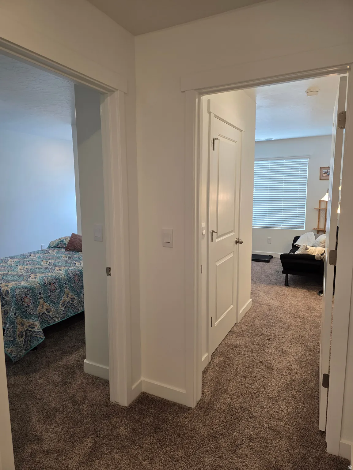 Interior hallway featuring neutral-toned carpeting, white trim, and white walls