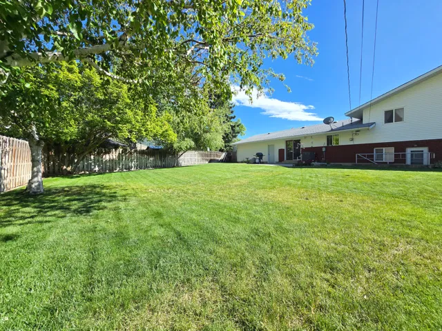 Expansive backyard featuring a large green lawn, mature trees, and a full perimeter privacy fence