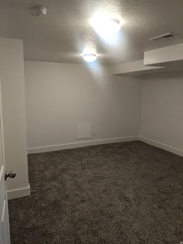 Spacious room featuring neutral carpeting, white walls, and bright ceiling-mounted lighting