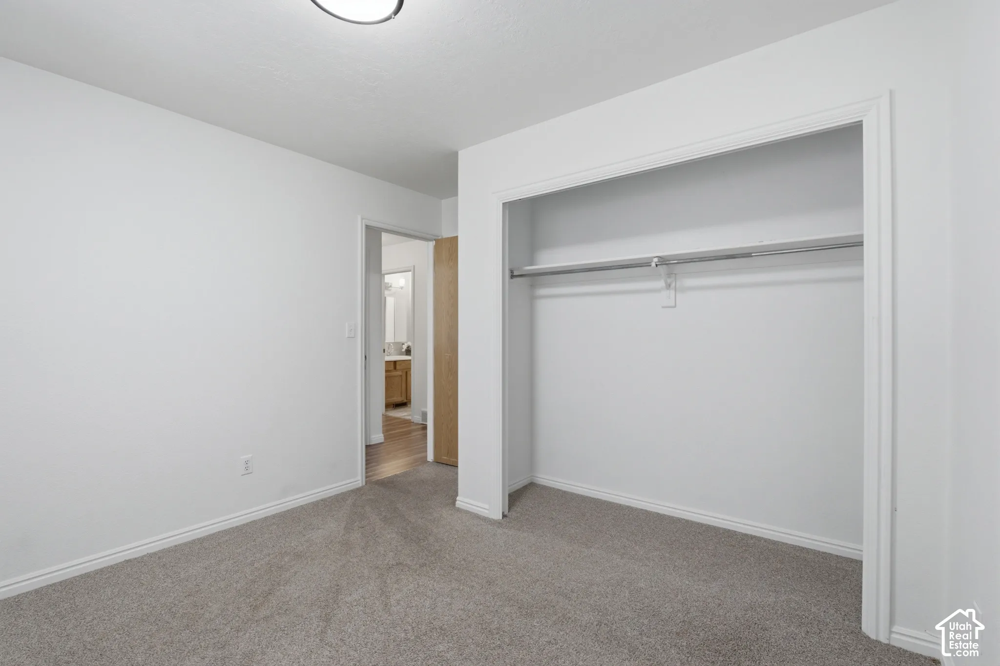 Carpeted interior space featuring an open closet with a hanging rod