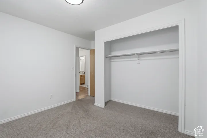 Carpeted interior space featuring an open closet with a hanging rod
