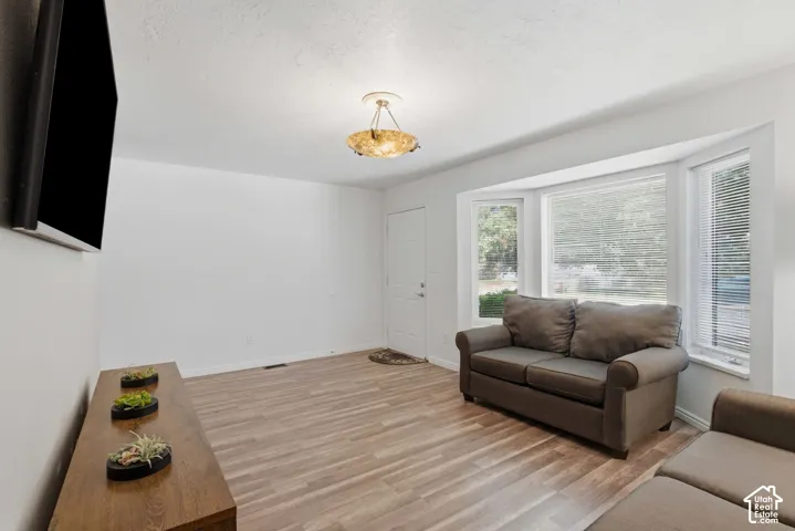 Living area with light wood-finish flooring, a prominent bay window with white trim, and a ceiling-mounted light fixture