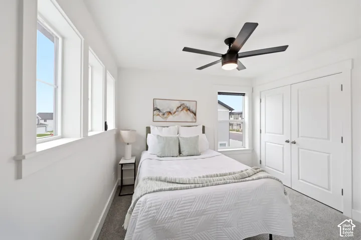Light-filled room featuring a series of rectangular windows with white trim, a dark wood-toned ceiling fan with integrated lighting, and plush grey carpet