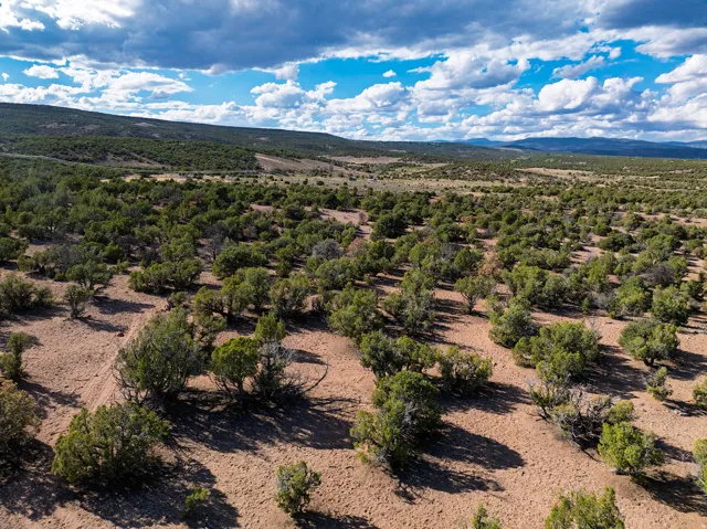 Expansive desert terrain with abundant green shrubbery