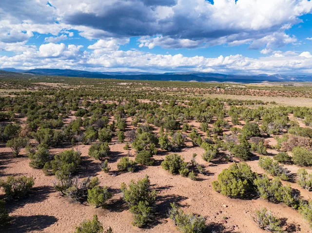 Expansive land featuring natural vegetation and distant mountains
