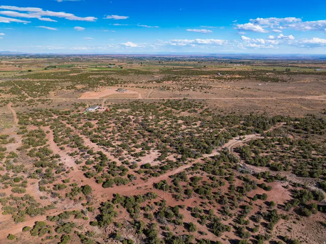 Expansive desert landscape featuring natural vegetation and distant mountain ranges