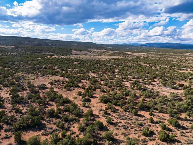 Expansive desert terrain featuring scattered green foliage and distant mountain ranges