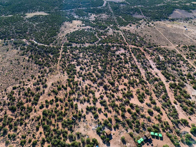 Expansive arid landscape featuring scattered green foliage and visible dirt pathways