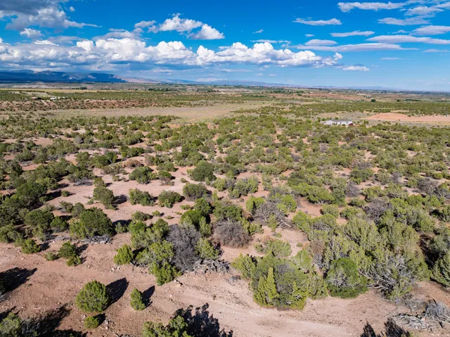 Expansive desert landscape featuring natural scrub vegetation and distant mountain ranges