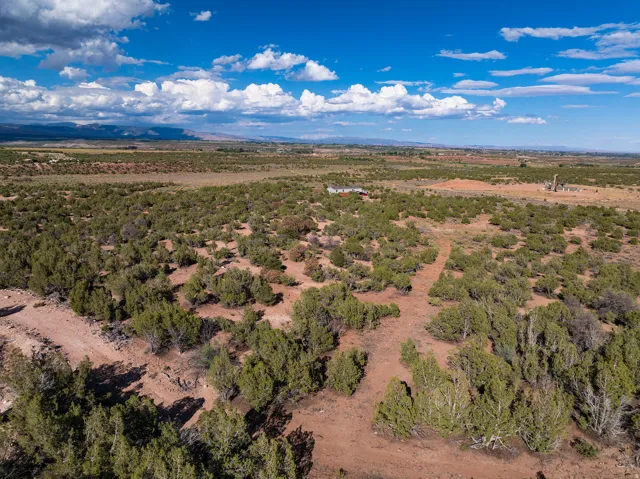 Expansive arid landscape featuring scattered evergreen shrubs and distant mountain formations
