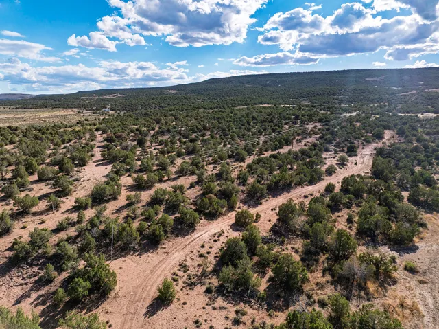 Expansive rural landscape featuring scattered trees, natural terrain, and distant hills