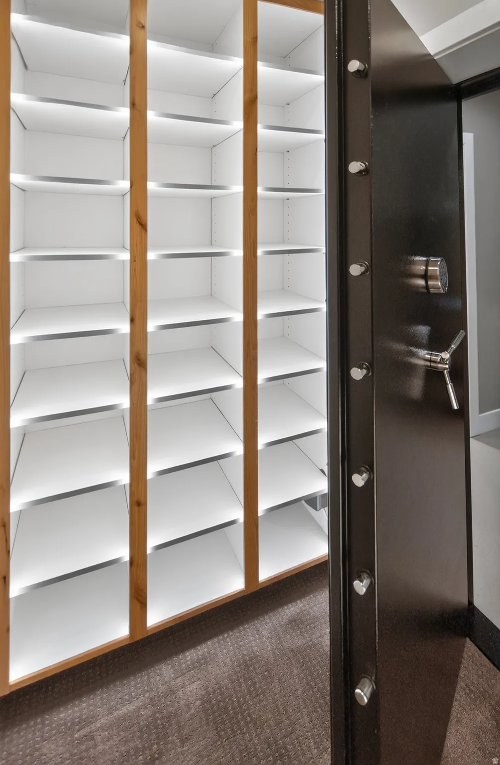 Heavy-duty vault door opening to custom built-in shelving with integrated lighting