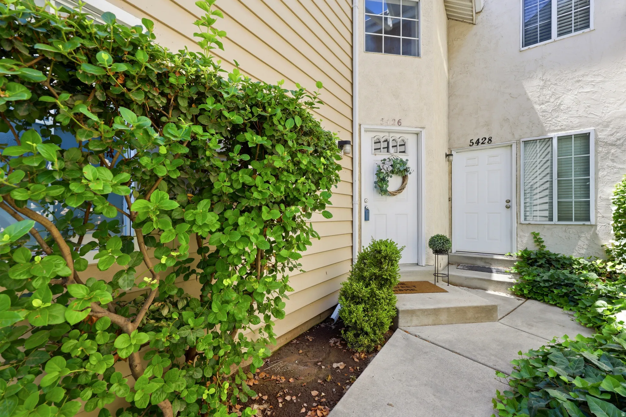 Entryway with concrete steps and walkway, featuring a white paneled door with decorative window inserts
