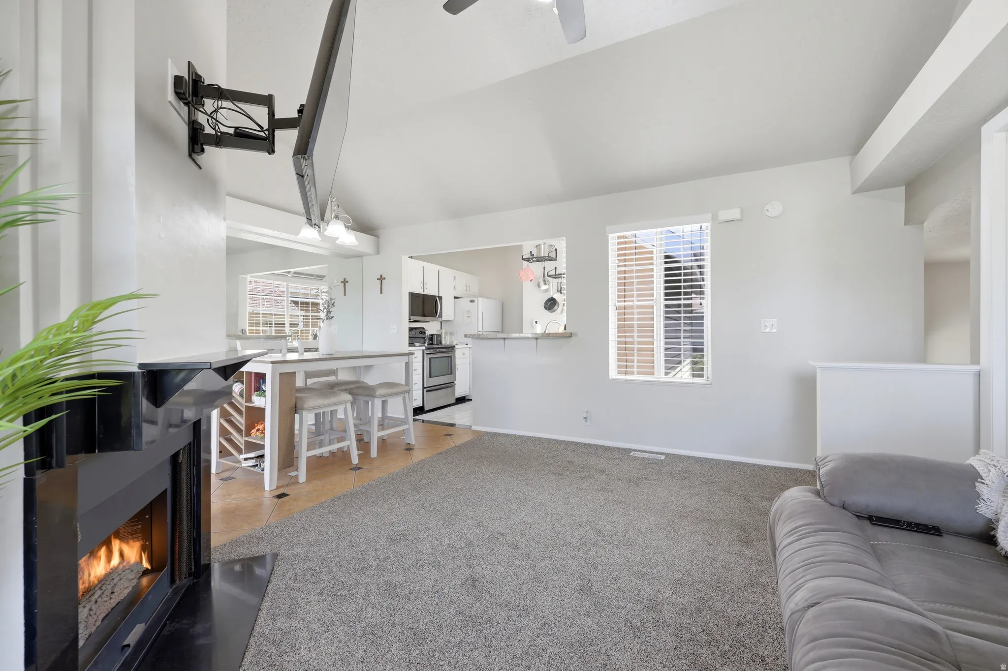 Living area with vaulted ceiling, modern fireplace, and wood-finish flooring