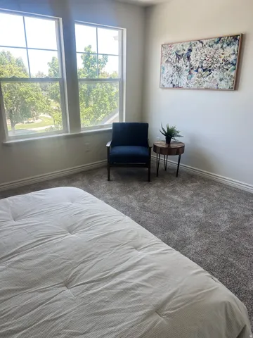 Dual pane windows, neutral gray carpeting, and light wall paint