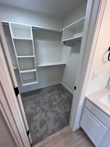 Walk-in closet featuring white built-in shelving, multiple hanging rods, and gray carpet flooring
