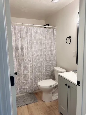 Bathroom featuring wood-finish flooring, a contemporary vanity with an integrated sink, a toilet, and a shower with a shower curtain rod