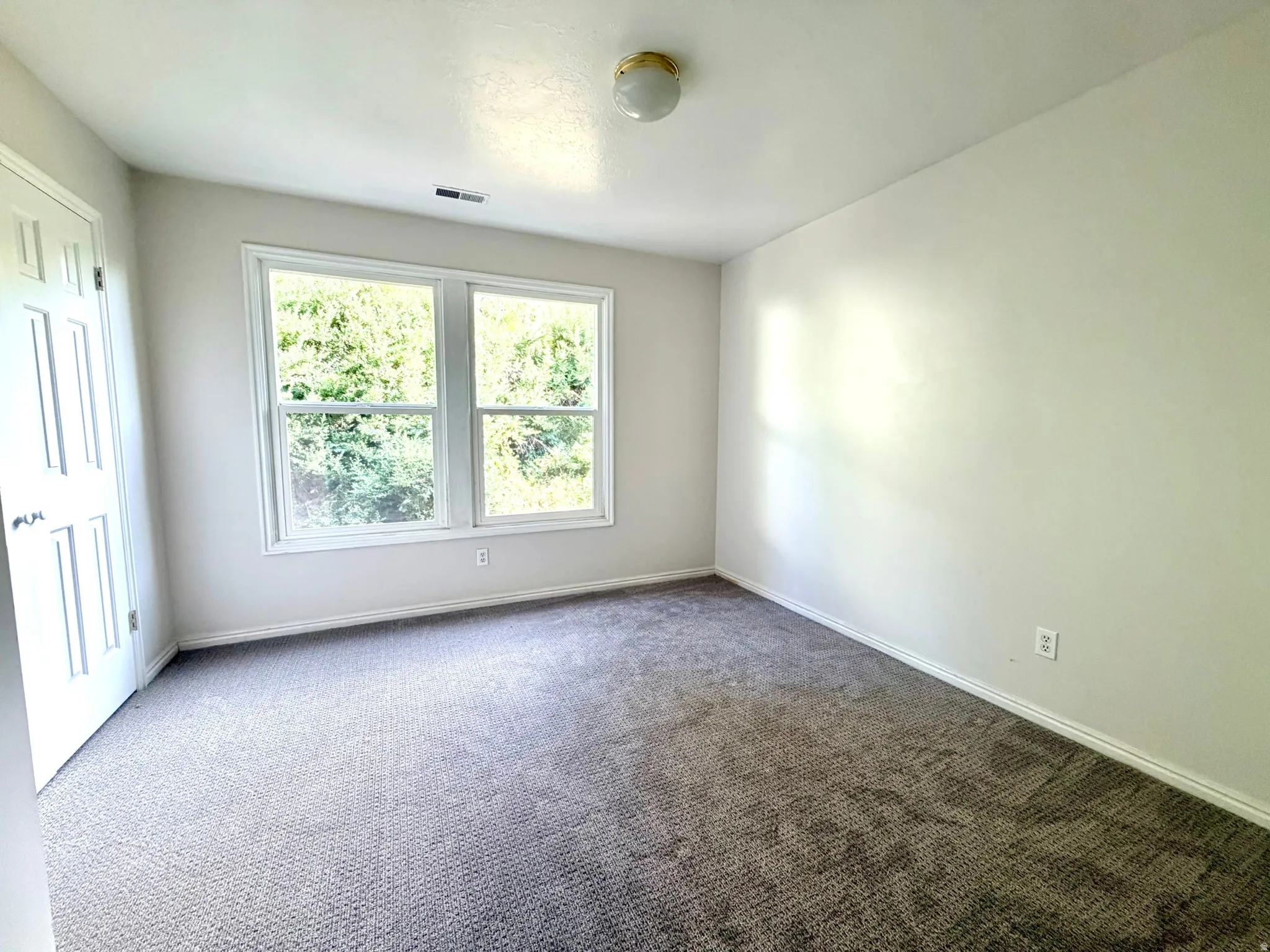 Room featuring dual windows, neutral-toned carpeting, white trim, and a ceiling-mounted light fixture