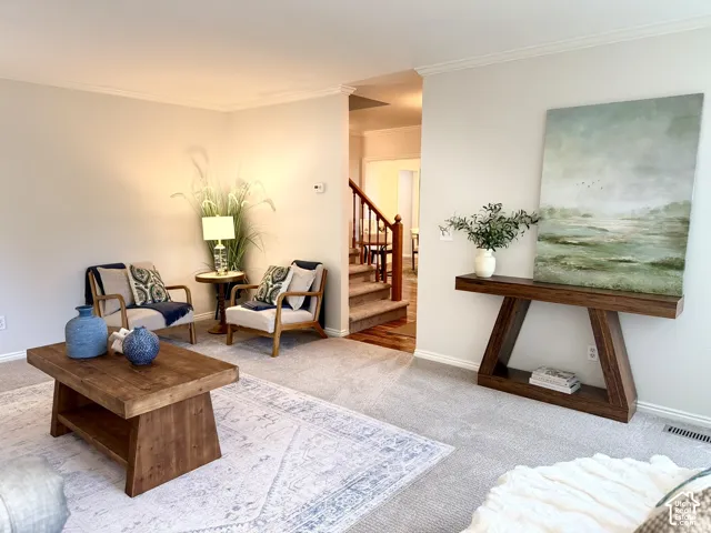 Crown molding accents throughout