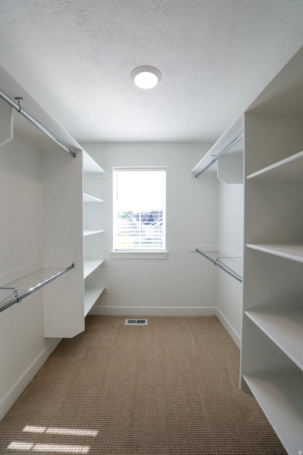 Walk-in closet featuring built-in shelving, hanging rods, an overhead light fixture, a window with blinds, and carpet flooring