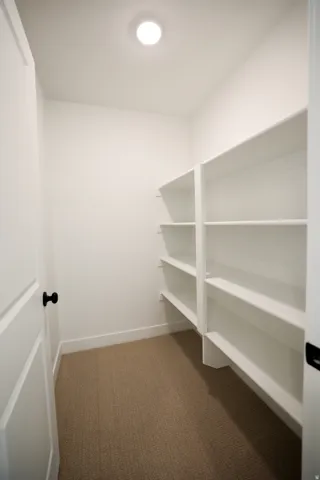 Walk-in pantry featuring built-in white shelving, recessed lighting, and neutral-toned carpeting