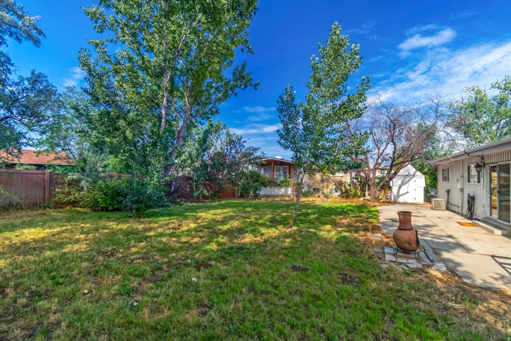 Back yard