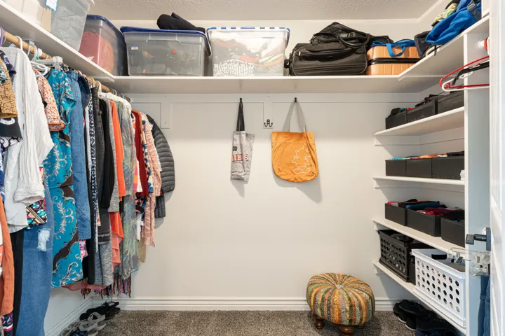 Walk-in closet featuring built-in shelving, hanging rods, and carpet flooring